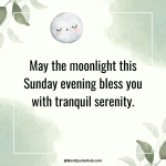 150+ Sunday Night Blessings & Inspiring Quotes