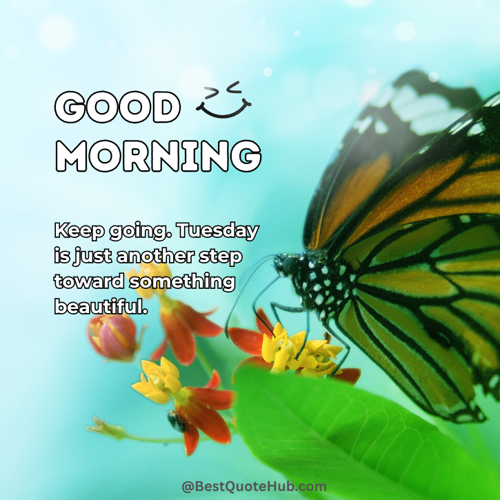 254+ Positive Good Morning Happy Tuesday Blessings