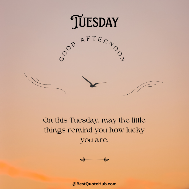 Tuesday Afternoon Blessings