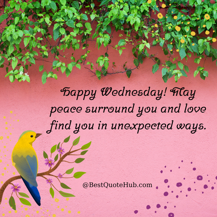 Happy Wednesday Blessings and Images