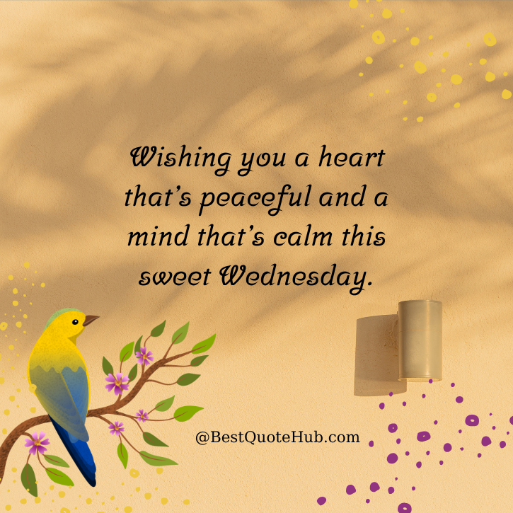 Happy Wednesday Blessings and Images