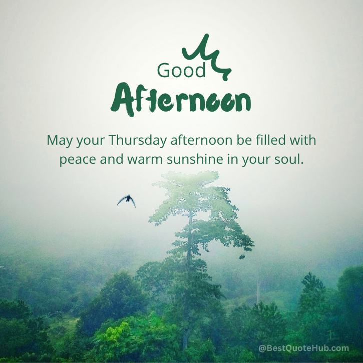 Thursday Afternoon Blessings, Uplifting Thursday Blessings, Good Afternoon Thursday Quotes, Blessed Thursday Afternoon Wishe, Inspirational Thursday Messages