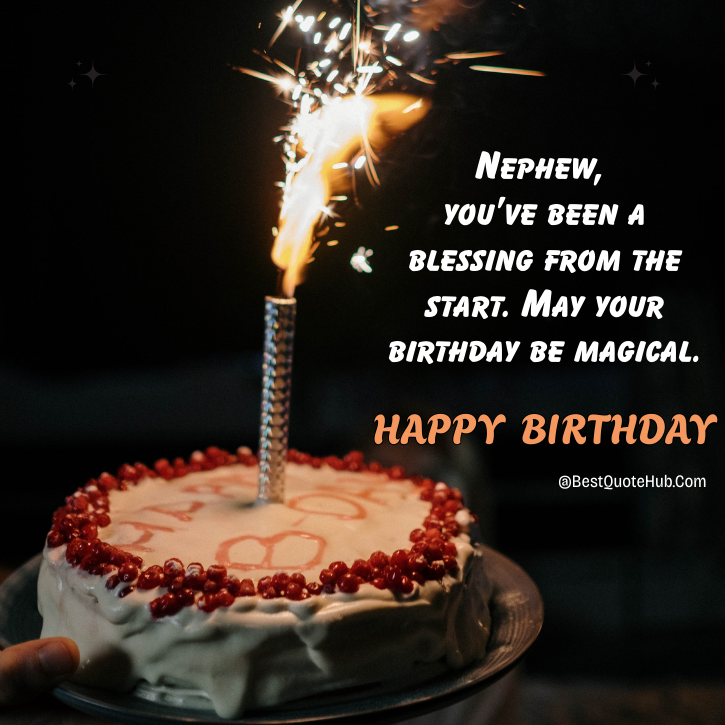 Touching Birthday Wishes for Nephew from Aunt, Touching Birthday Wishes for Nephew, Heartfelt Birthday Messages for Nephew, Emotional Birthday Quotes for Nephew, Loving Birthday Greetings for Nephew from Aunt, Happy Birthday Nephew Wishes from Aunt, Special Birthday Wishes for Nephew, Birthday Blessings for Nephew,
