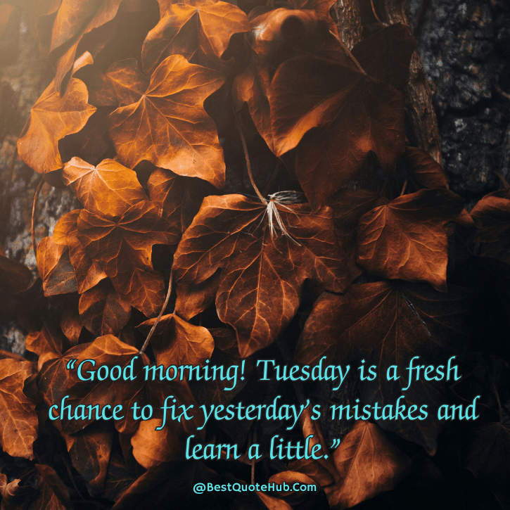 Tuesday motivational quotes for work, Tuesday motivation for office, Tuesday inspiration for employees, positive Tuesday work quotes, Tuesday quotes for productivity, Tuesday morning motivation quotes, Tuesday motivational sayings