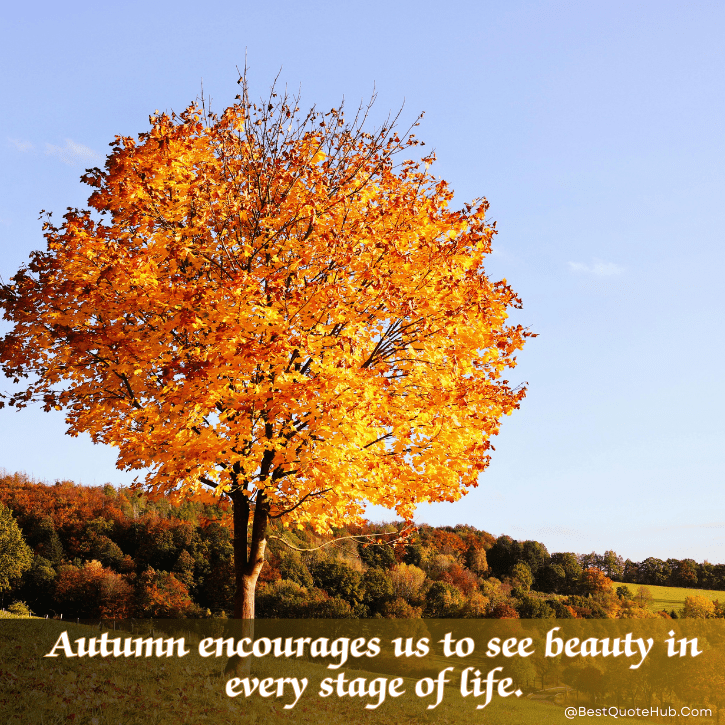 inspirational quotes on autumn, Autumn Quotes, fall inspirational quotes, cozy autumn captions, autumn season quotes, fall vibes quotes, quotes about autumn, autumn images with quotes, nature autumn quotes, autumn aesthetic quotes