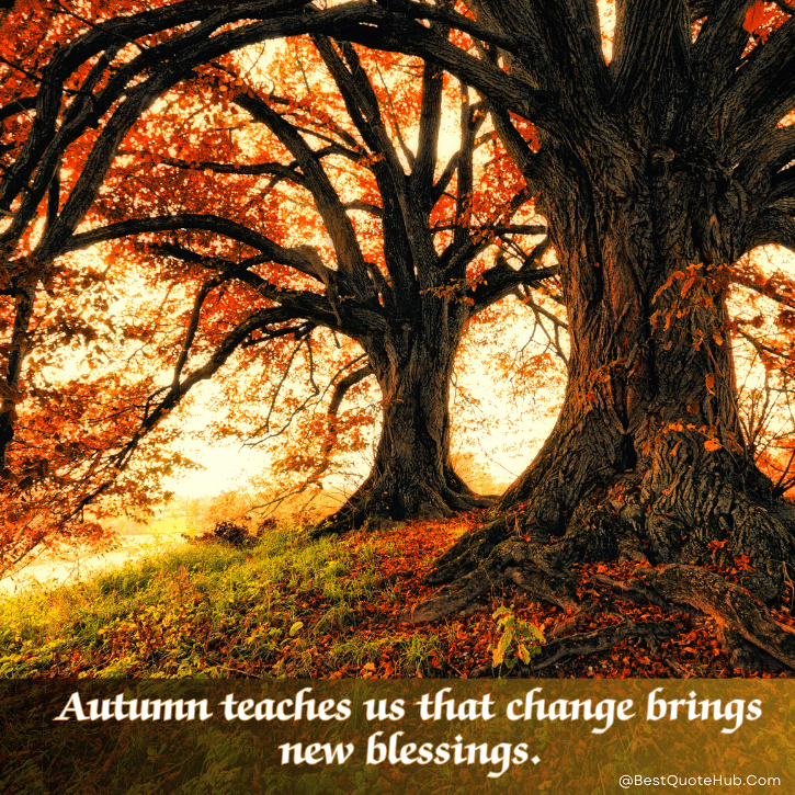 inspirational quotes on autumn, Autumn Quotes, fall inspirational quotes, cozy autumn captions, autumn season quotes, fall vibes quotes, quotes about autumn, autumn images with quotes, nature autumn quotes, autumn aesthetic quotes