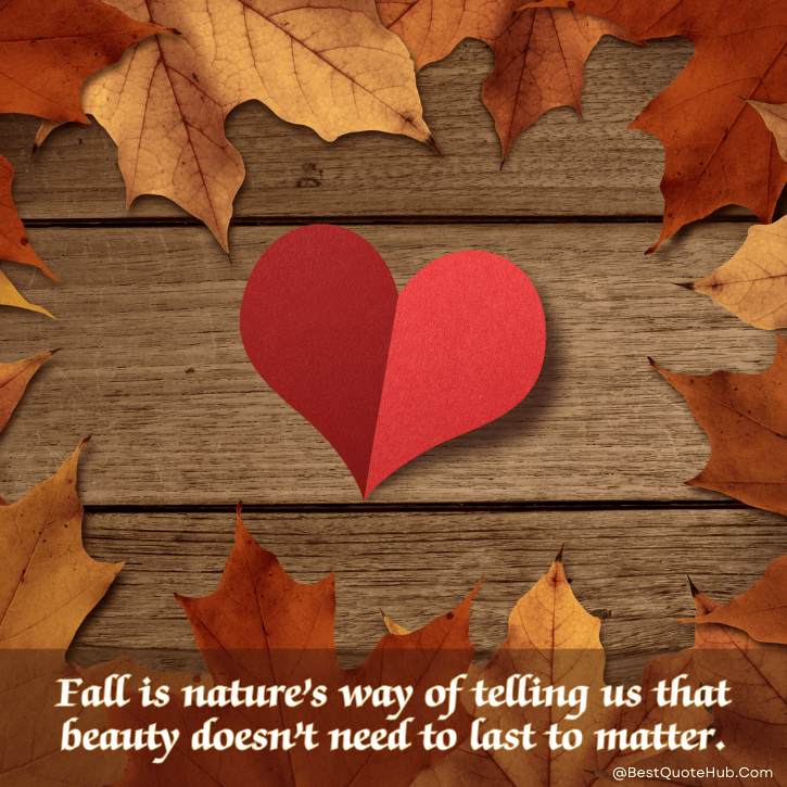 inspirational quotes on autumn, Autumn Quotes, fall inspirational quotes, cozy autumn captions, autumn season quotes, fall vibes quotes, quotes about autumn, autumn images with quotes, nature autumn quotes, autumn aesthetic quotes