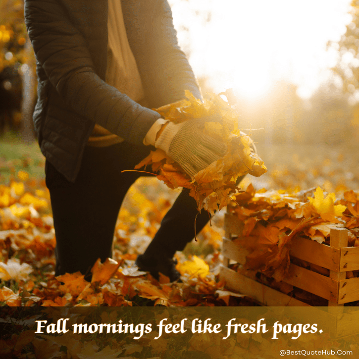 inspirational quotes on autumn, Autumn Quotes, fall inspirational quotes, cozy autumn captions, autumn season quotes, fall vibes quotes, quotes about autumn, autumn images with quotes, nature autumn quotes, autumn aesthetic quotes