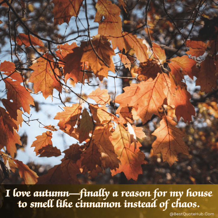 inspirational quotes on autumn, Autumn Quotes, fall inspirational quotes, cozy autumn captions, autumn season quotes, fall vibes quotes, quotes about autumn, autumn images with quotes, nature autumn quotes, autumn aesthetic quotes