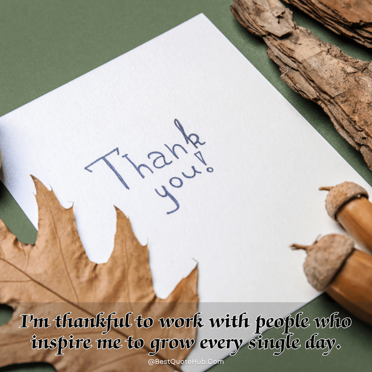 blessed and thankful quotes, thankful and grateful quotes, gratitude quotes, be thankful quotes, feeling blessed quotes, positive gratitude sayings, quotes about being grateful, thankful heart quotes