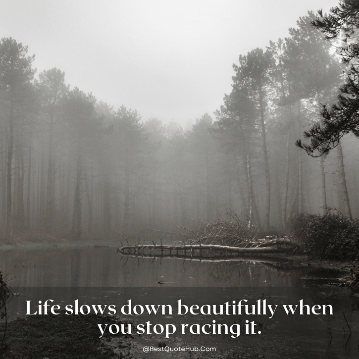 quotes about dealing with stress, deal with stress quotes, quotes about stress and anxiety, positive stress relief quotes, calming quotes for stressful times, motivational quotes about stress, inspirational quotes to handle stress