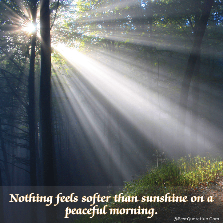 sunshine quotes for Instagram, morning sunshine quotes, short sunshine quotes, cute sunshine quotes, uplifting sunshine quotes, positive morning quotes, happy sunshine quotes, sunshine captions for Instagram