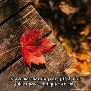 80+ Inspirational Hello November Quotes and Images