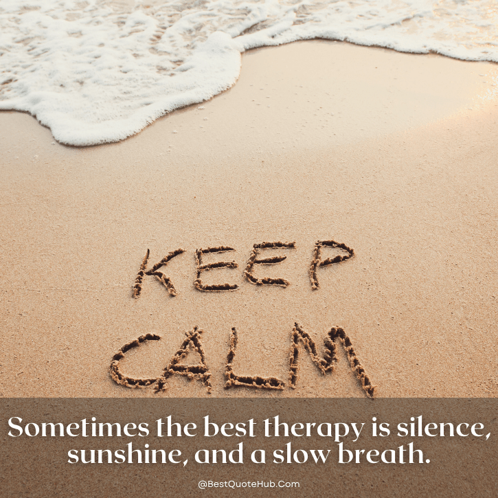 quotes about dealing with stress, deal with stress quotes, quotes about stress and anxiety, positive stress relief quotes, calming quotes for stressful times, motivational quotes about stress, inspirational quotes to handle stress