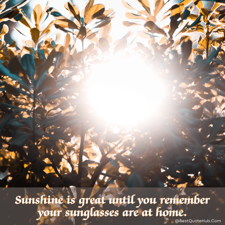 sunshine quotes for Instagram, morning sunshine quotes, short sunshine quotes, cute sunshine quotes, uplifting sunshine quotes, positive morning quotes, happy sunshine quotes, sunshine captions for Instagram