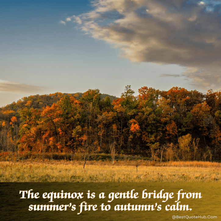 inspirational quotes on autumn, Autumn Quotes, fall inspirational quotes, cozy autumn captions, autumn season quotes, fall vibes quotes, quotes about autumn, autumn images with quotes, nature autumn quotes, autumn aesthetic quotes