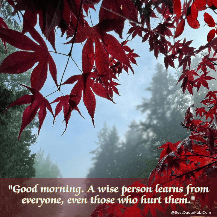 wisdom good morning quotes, Wisdom Good Morning Wednesday Inspirational Quotes, Wednesday good morning quotes, good morning wisdom quotes, inspirational Wednesday quotes, Wednesday motivation quotes, midweek inspiration quotes