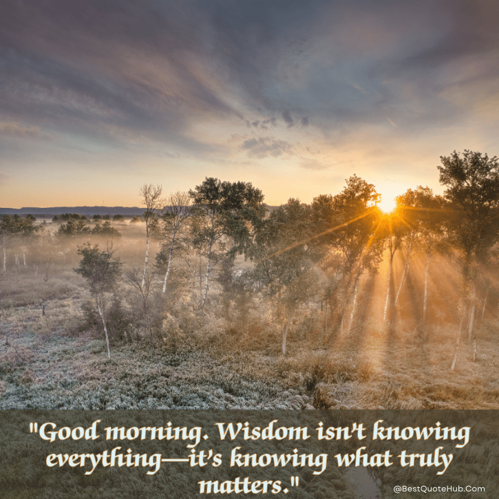 wisdom good morning quotes, Wisdom Good Morning Wednesday Inspirational Quotes, Wednesday good morning quotes, good morning wisdom quotes, inspirational Wednesday quotes, Wednesday motivation quotes, midweek inspiration quotes