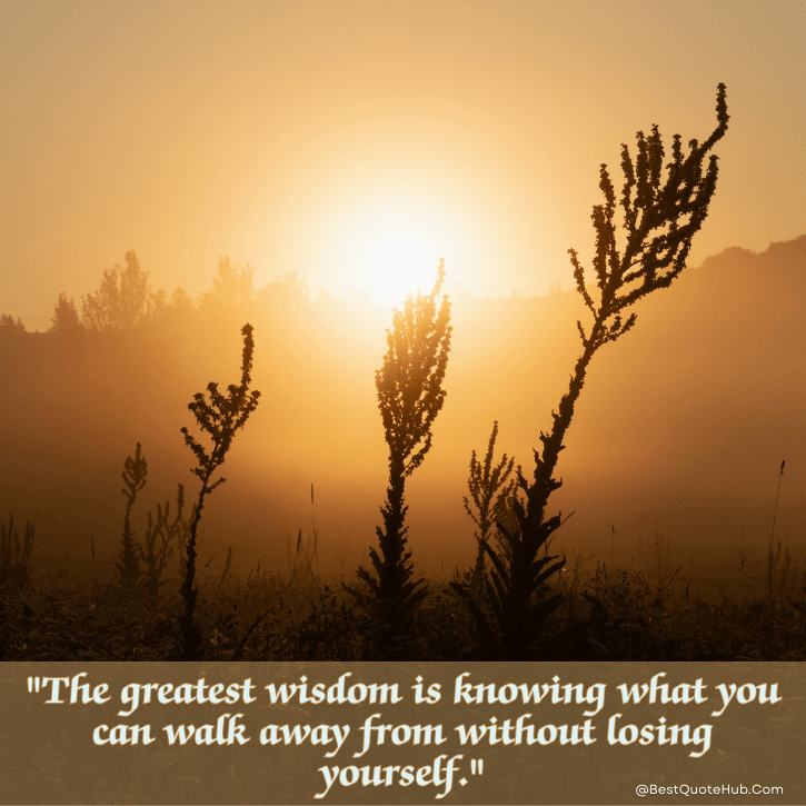 wisdom good morning quotes, Wisdom Good Morning Wednesday Inspirational Quotes, Wednesday good morning quotes, good morning wisdom quotes, inspirational Wednesday quotes, Wednesday motivation quotes, midweek inspiration quotes