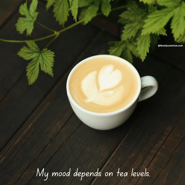 Tea Quotes, inspirational tea quotes, quotes about tea, tea lover quotes, peaceful tea quotes, aesthetic tea quotes, morning tea quotes