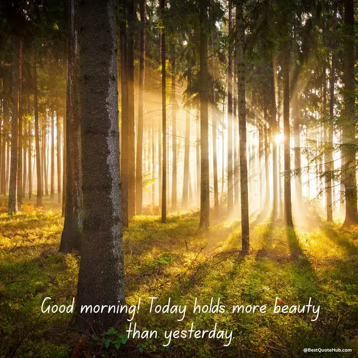 Good Morning Inspirational Images, Good Morning Images with Quotes, Good Morning Positive Thoughts Images, Good Morning Motivational Images, Good Morning Wishes Images